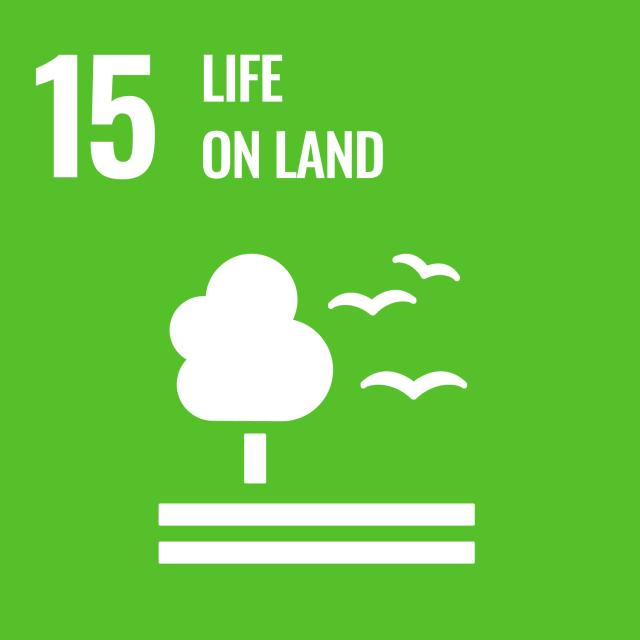 The SBS Brembo forest forest supports biodiversity, prevents soil erosion, and restores ecosystems in Kenya.